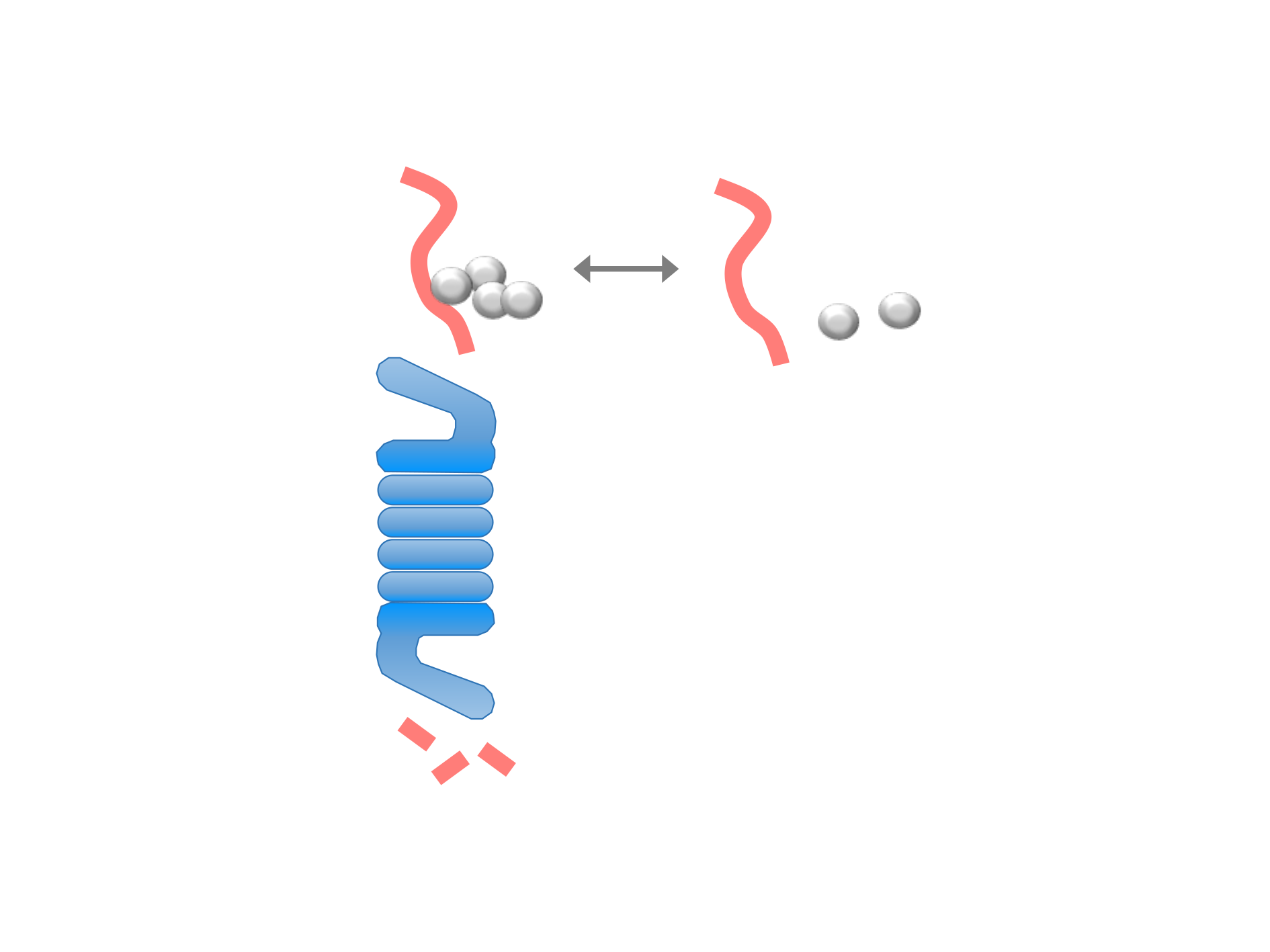 Mechanisms of protein degradation linked to oxygen and nutrient-sensing.